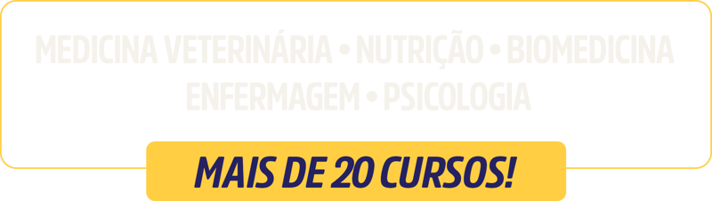cursos-1